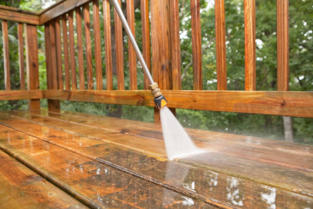 Best Roof Pressure Washing  in Kingston, TN